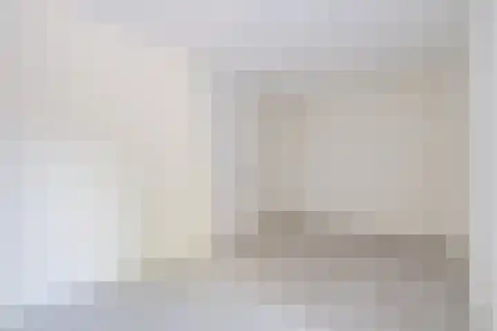 Zijde 46 B Boskoop thumbnail 17