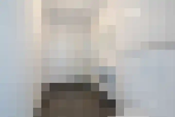 Zijde 46 B Boskoop thumbnail 18