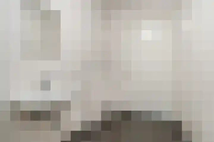 Zijde 46 B Boskoop thumbnail 19