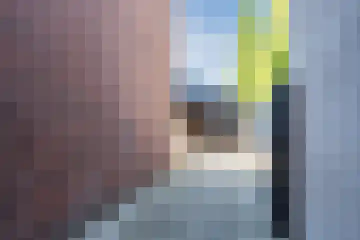 Zijde 46 B Boskoop thumbnail 20