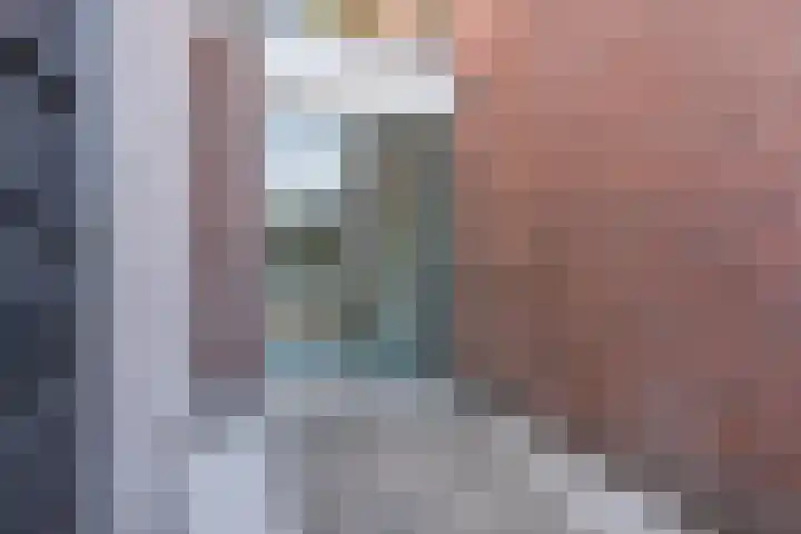 Zijde 46 B Boskoop thumbnail 21