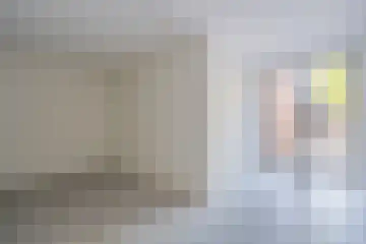 Zijde 46 B Boskoop foto 3