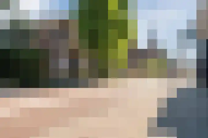 Zijde 46 B Boskoop thumbnail 34