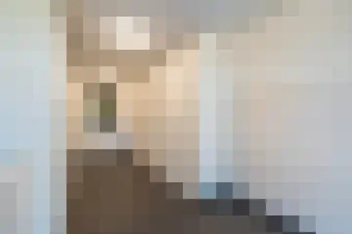 Zijde 46 B Boskoop thumbnail 6