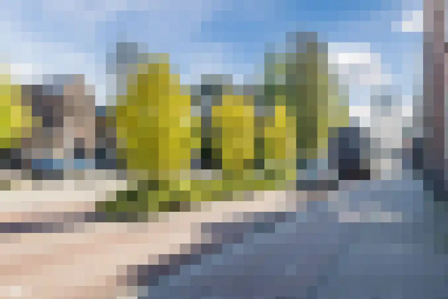 Zijde 60 Boskoop thumbnail 22