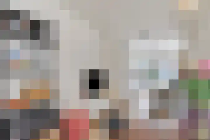 Zijde 64 Boskoop thumbnail 11
