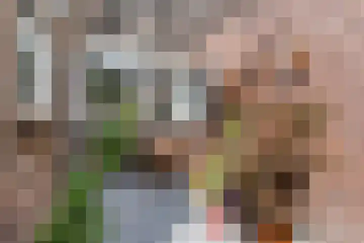 Zijde 64 Boskoop thumbnail 19