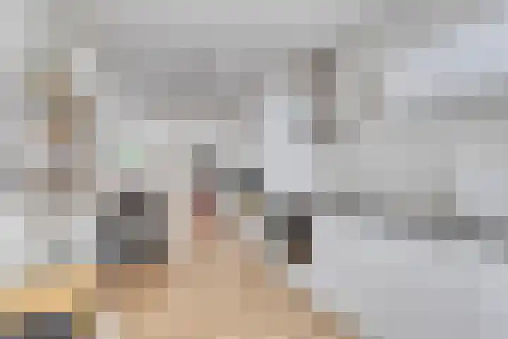 Zijde 64 Boskoop foto 2