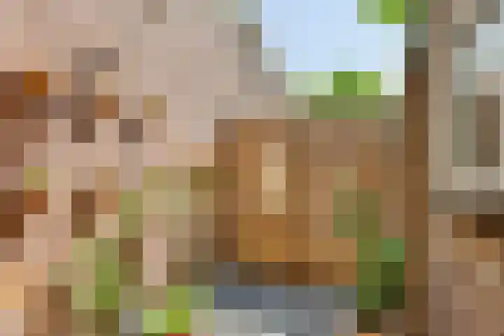 Zijde 64 Boskoop thumbnail 21