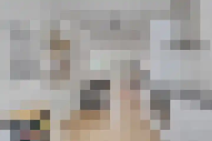 Zijde 64 Boskoop foto 3