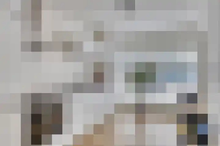 Zijde 64 Boskoop thumbnail 4