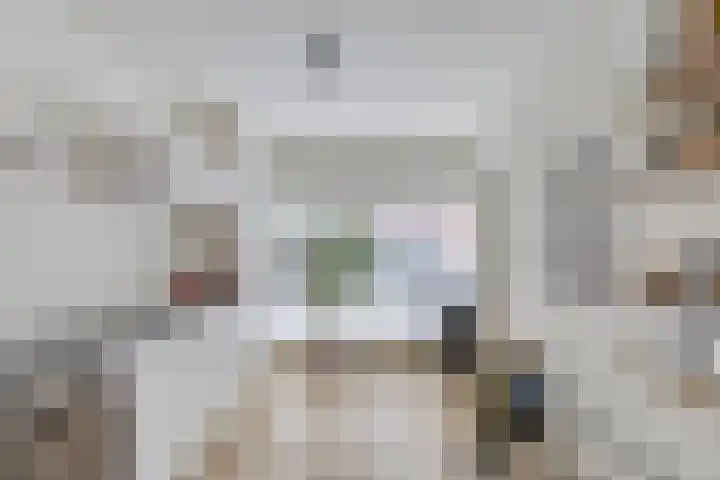 Zijde 64 Boskoop thumbnail 5