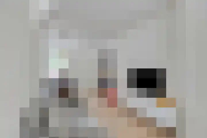 Zijde 64 Boskoop thumbnail 6