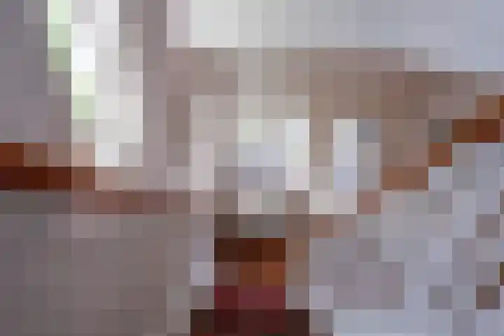 Zijde 69 Boskoop thumbnail 15