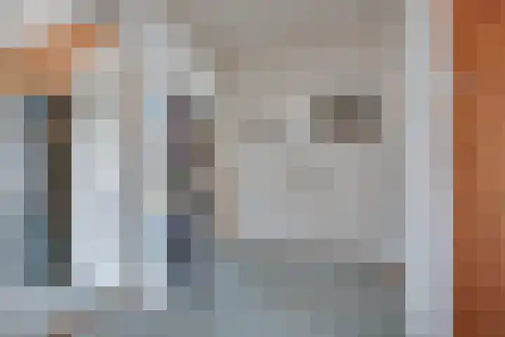 Zijde 69 Boskoop thumbnail 17