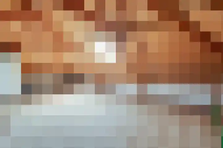 Zijde 69 Boskoop thumbnail 22