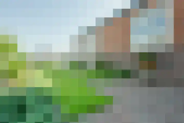 Zijde 69 Boskoop thumbnail 24