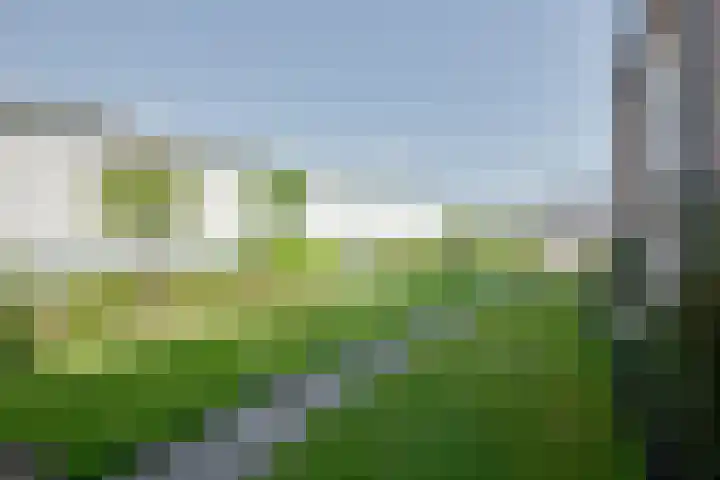 Zijde 69 Boskoop thumbnail 25