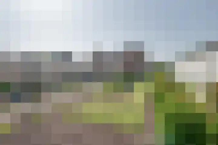 Zijde 69 Boskoop thumbnail 27