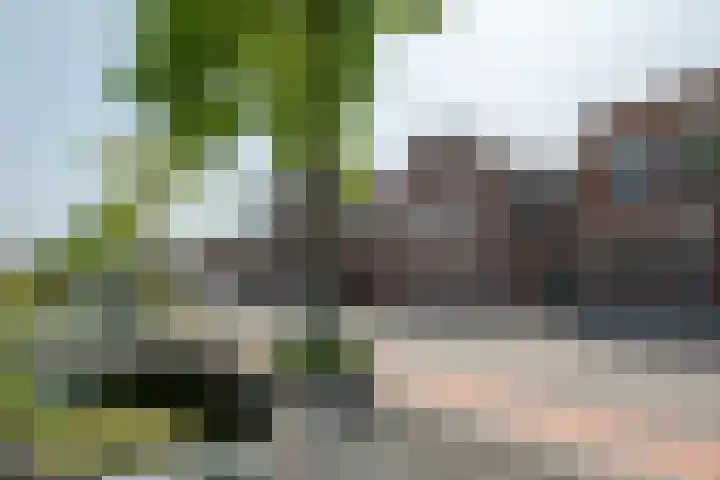 Zijde 69 Boskoop thumbnail 29