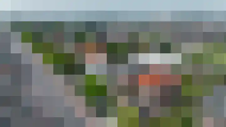 Zijde 69 Boskoop thumbnail 31