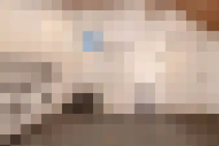 Zijde 75 Boskoop thumbnail 25