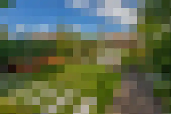 Zijde 75 Boskoop thumbnail 31