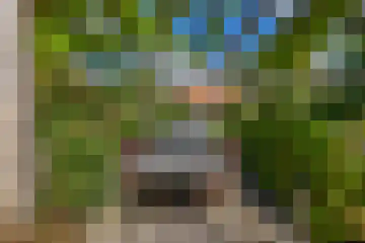 Zijde 75 Boskoop thumbnail 34