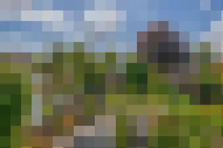 Zijde 75 Boskoop thumbnail 39