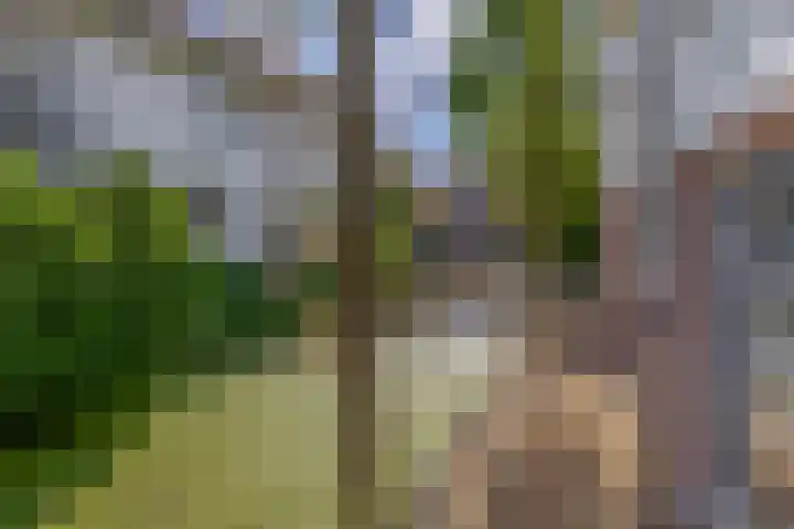 Zijde 75 Boskoop thumbnail 43