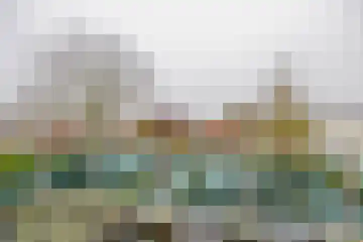 Zijde 75 Boskoop thumbnail 59