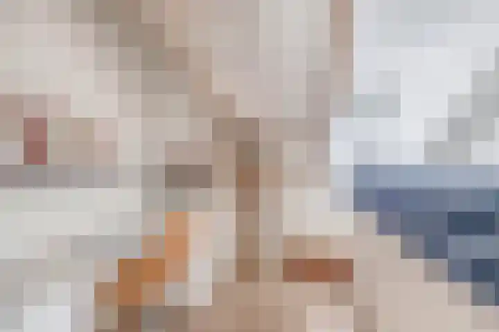 Zijde 75 Boskoop thumbnail 67