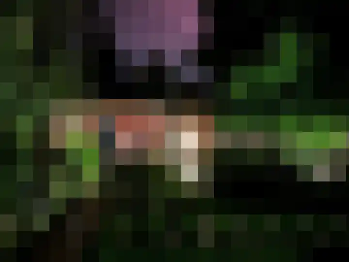 Zijde 75 Boskoop thumbnail 82