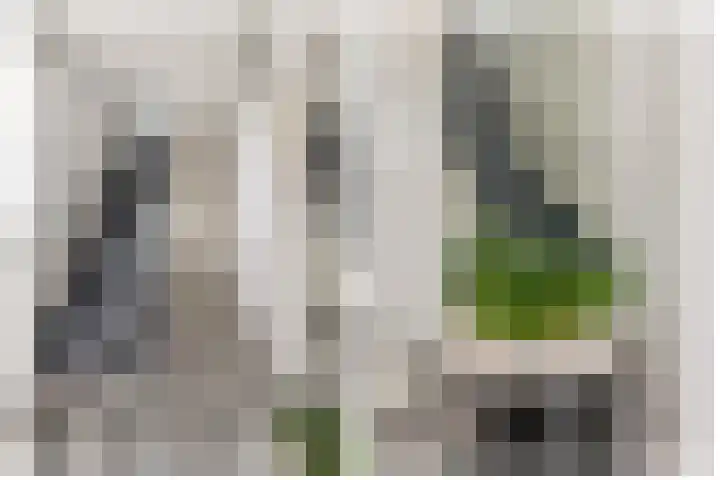 Zijde 75 Boskoop thumbnail 9