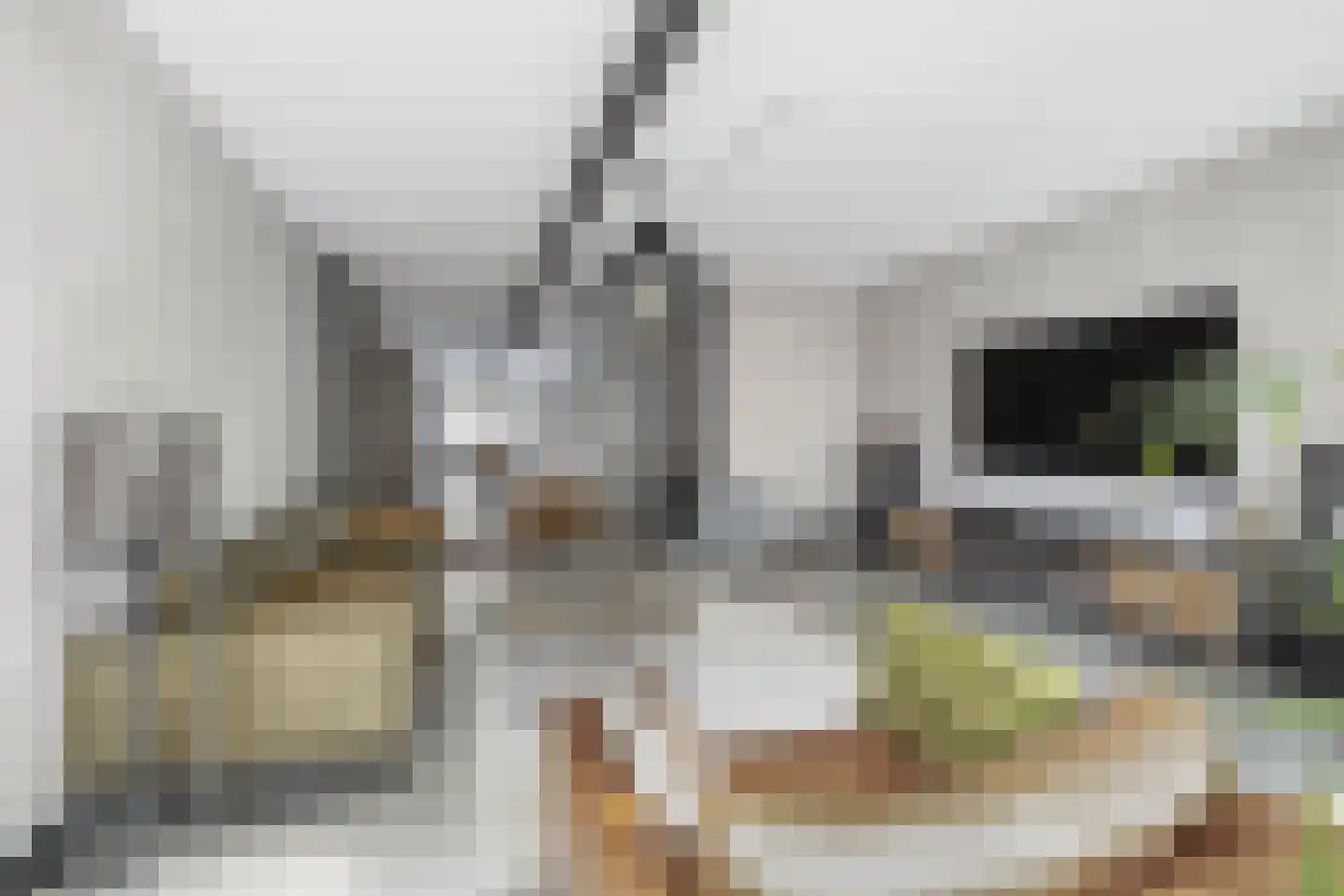 Zijdebalenstraat 15 Utrecht thumbnail 12