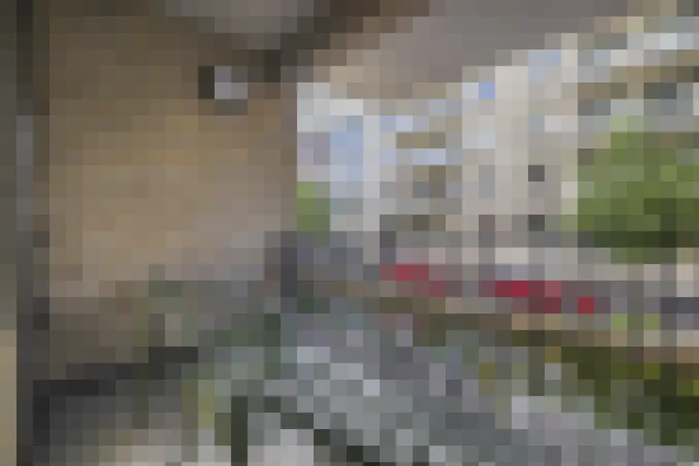 Zijdebalenstraat 15 Utrecht thumbnail 22