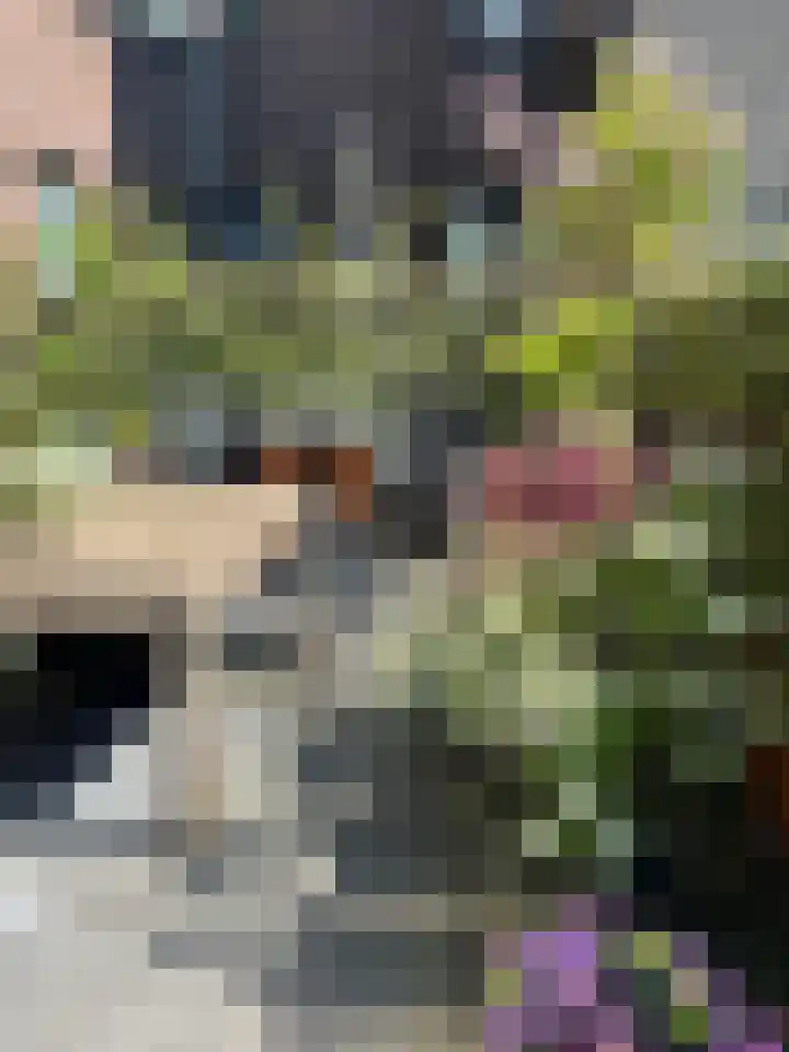 Zijdebalenstraat 4 Utrecht thumbnail 16