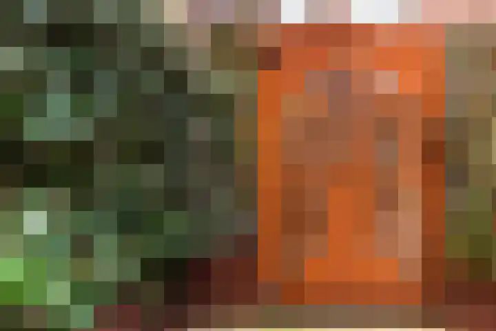 Zijdebalenstraat 4 Utrecht thumbnail 17