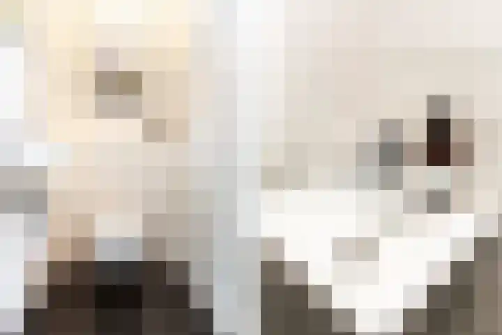 Zijdebalenstraat 4 Utrecht thumbnail 20