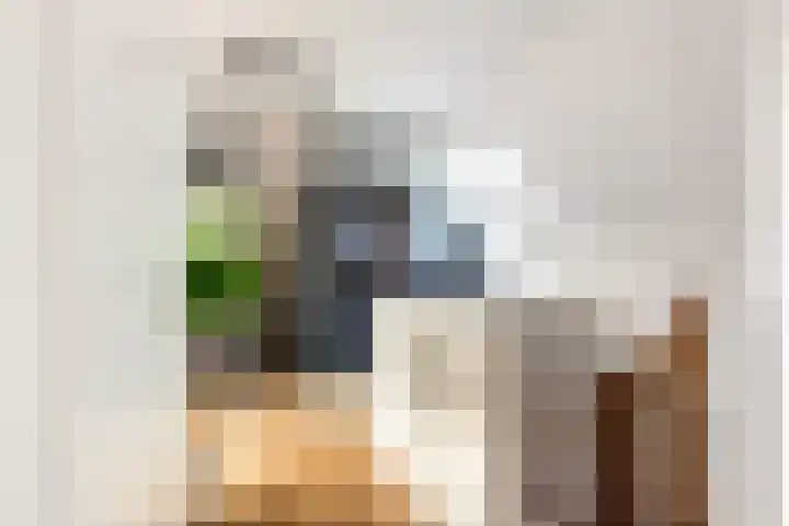 Zijdebalenstraat 4 Utrecht thumbnail 39