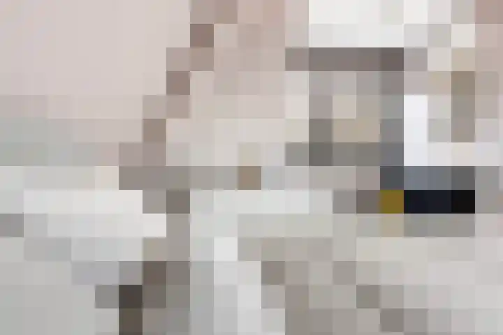 Zijdebalenstraat 4 Utrecht thumbnail 42