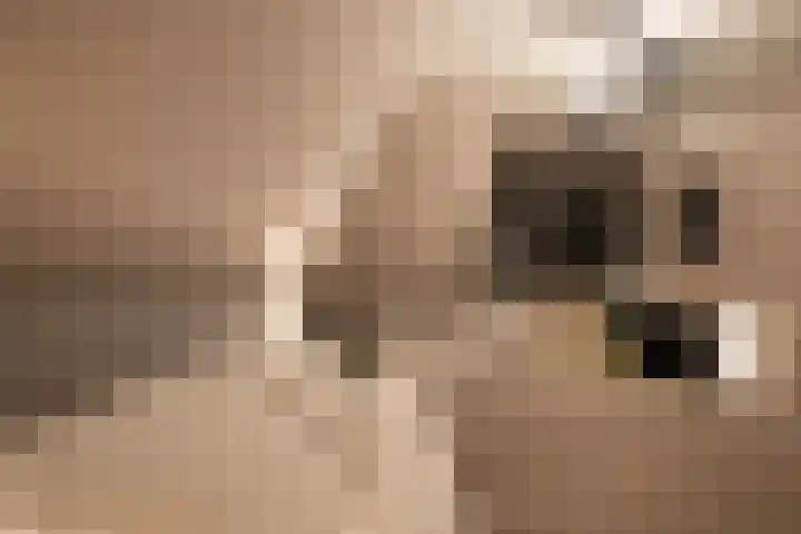 Zijdebalenstraat 4 Utrecht thumbnail 44