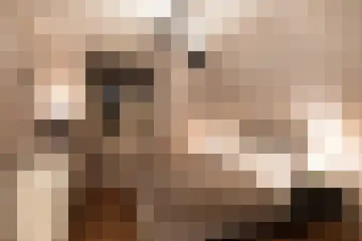 Zijdebalenstraat 4 Utrecht thumbnail 45