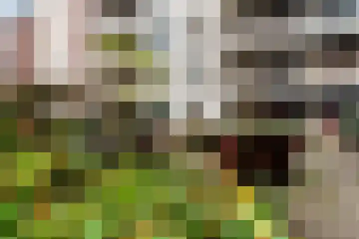 Zijdebalenstraat 4 Utrecht thumbnail 49