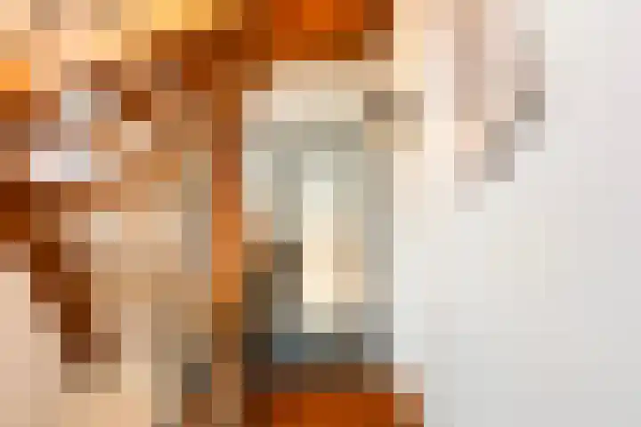 Zijdebalenstraat 4 Utrecht thumbnail 6
