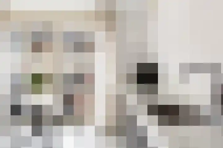 Zijdebalenstraat 4 Utrecht thumbnail 9