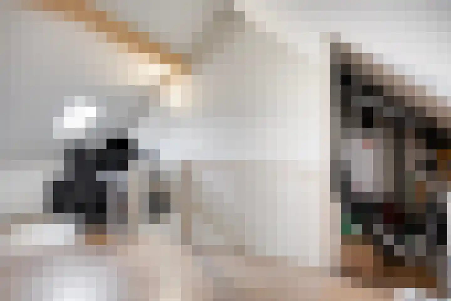 Zijdehoenderlaan 10 Barneveld thumbnail 19