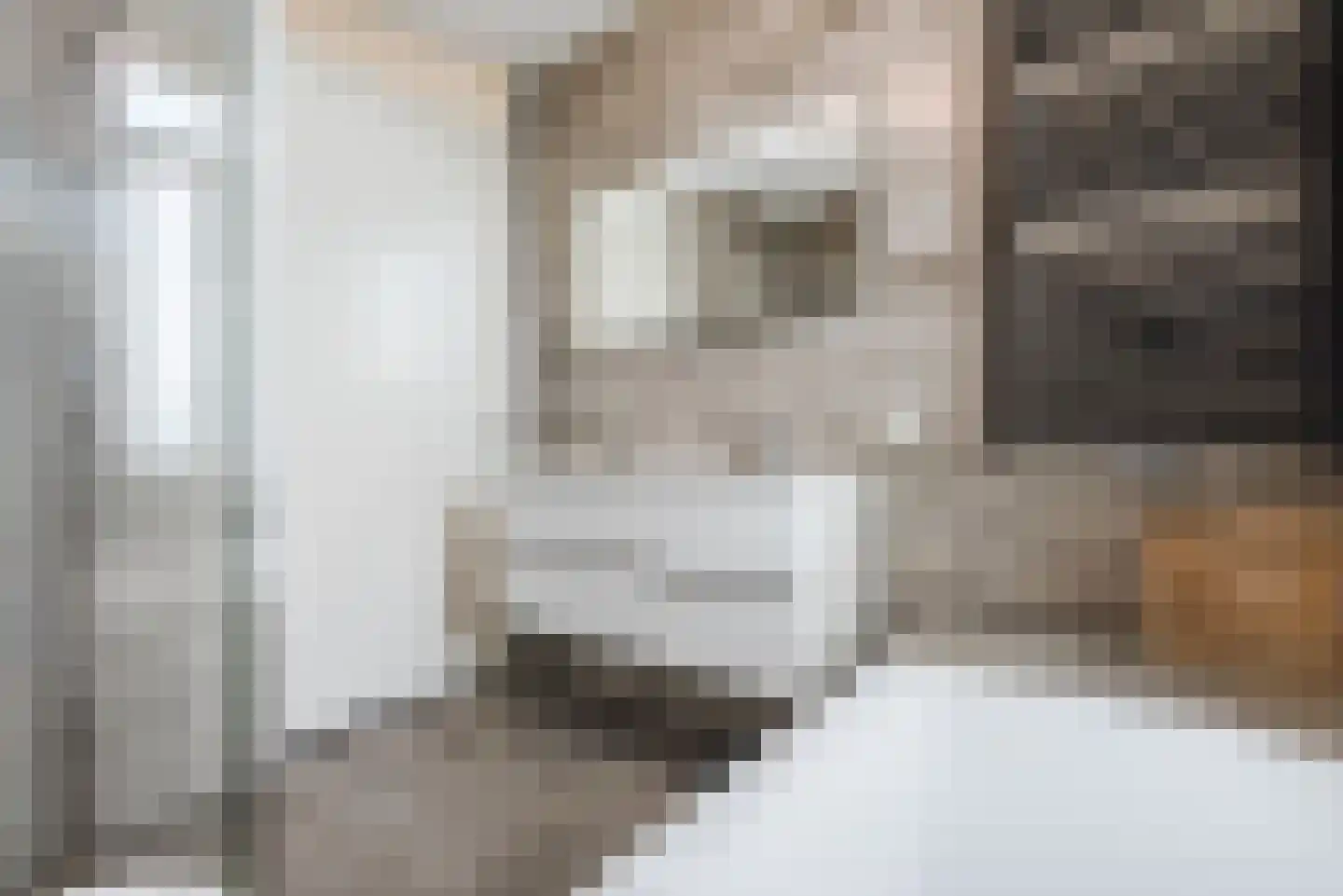 Zijdehoenderlaan 112 Barneveld thumbnail 25