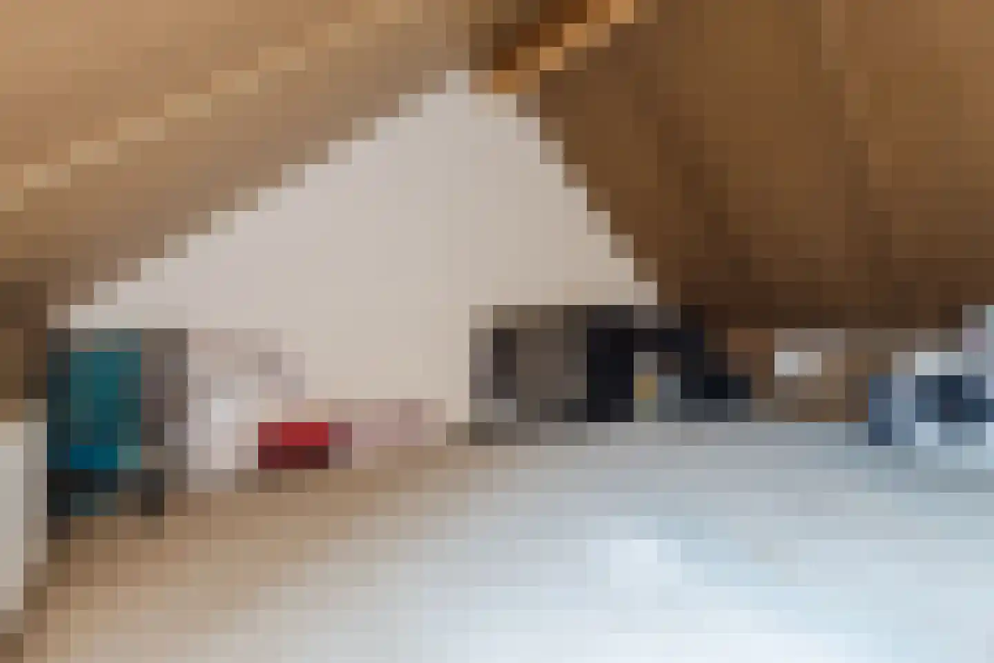 Zijdehoenderlaan 112 Barneveld thumbnail 30