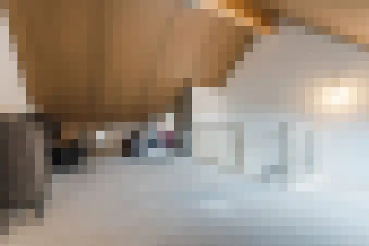 Zijdehoenderlaan 112 Barneveld thumbnail 32